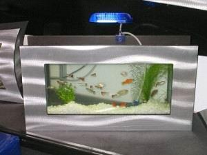 �ڒ��~(y��)��չʾ��(g��)��Ʒζ