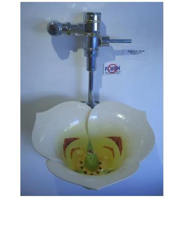 Ư�����ص�WCϴ�ֳ�