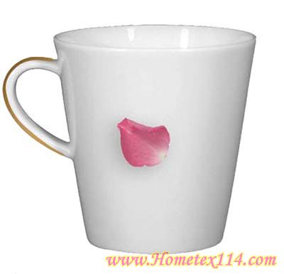 �����һ��t�����Ĳ;�������