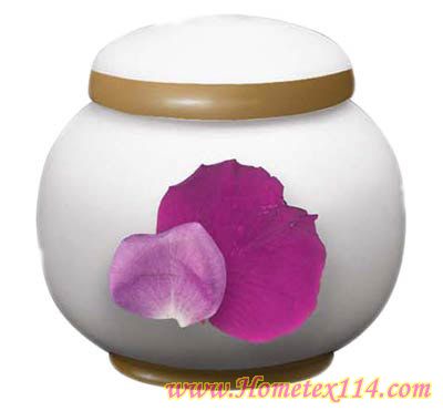 �����һ��t�����Ĳ;�������