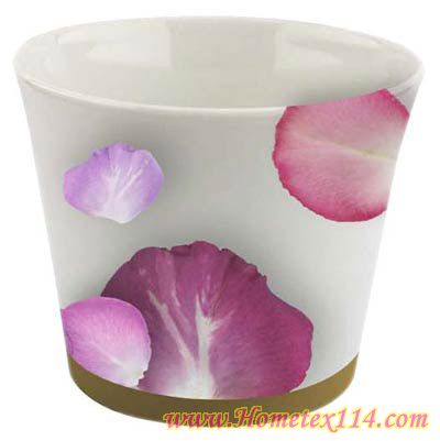 �����һ��t�����Ĳ;�������