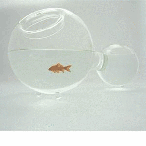 ���(l��i)�Ҿ�Ʒ�w��(hu�� )��һ�ӵ�����