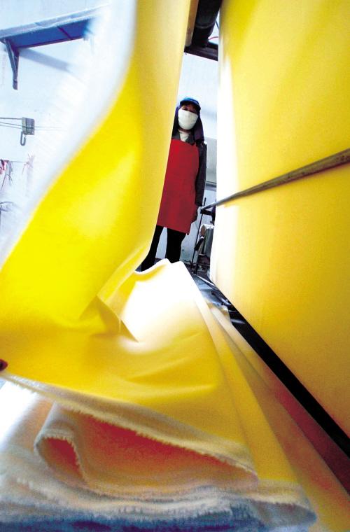 ��܇(ch��)��ֲ�q��Ʒ�Nռȫ��1/2