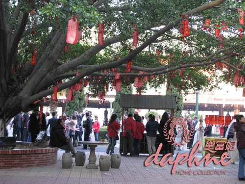 ϲ�Y�B���������