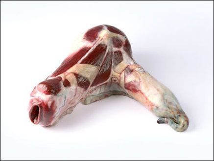 �в����i�����ļҾ���Ʒ