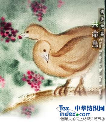 �L(f��ng)����(ch��ng)���傀(g��)��(j��ng)�䄓(chu��ng  )�I(y��)Ԣ��