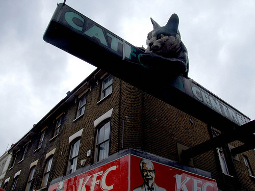 �廨���T(m��n)������b�