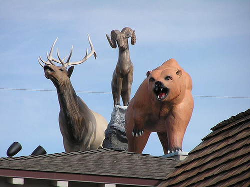 �廨���T(m��n)������b�