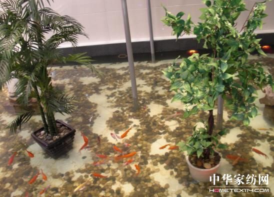 �r(sh��)�С����m����ܰ���{���Ҽ�չʾ����