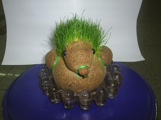 �r(sh��)�Є�(chu��ng  )��ɐ�(��i)�h(hu��n)�����^����