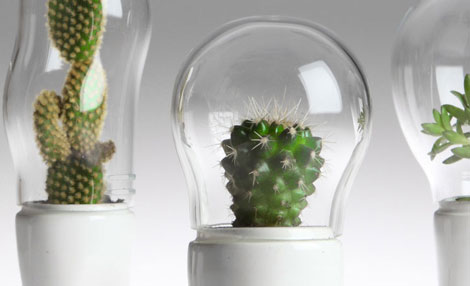 ������Ц����ѝ�ӵ�����