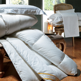 ���_�Ҽ� �Z�q���F����