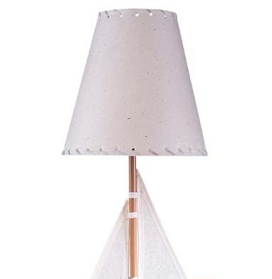 �˿�ӂ���ϲ�g�Ŀɐ�(��i)�_��