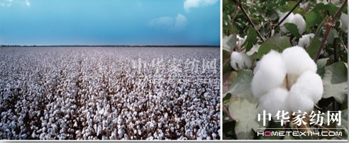 ���N�������N(xi��o)��һ�w�� ��(chu��ng  )����Ҽ��wϵ