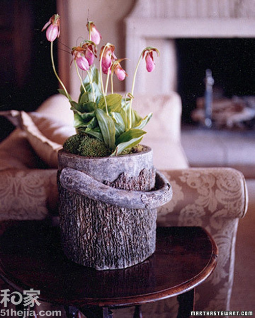 �ؚw��Ȼ��(sh��)ľ���͵��b���(һ)