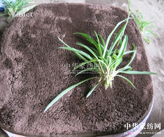 ���_�m���x��̺ ��O���К��|(zh��)�Ƿ�