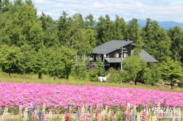 ����Ҽ���푡���(��i)�ڲ��������ϱ����������(d��ng)������