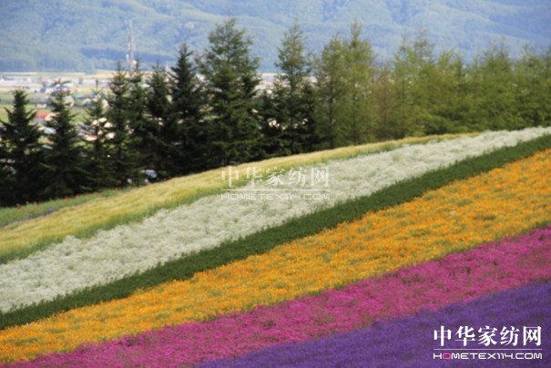 ����Ҽ���푡���(��i)�ڲ��������ϱ����������(d��ng)������