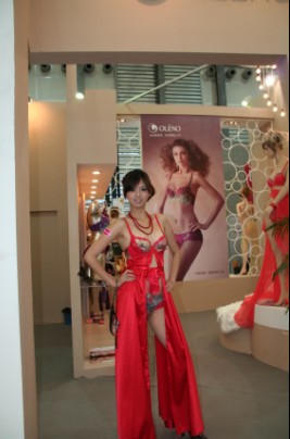 ��ݡ���ᘕ�(hu�� )������ȫ���Ј�(ch��ng)