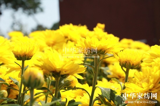 ���z�Ҽ����������B����(l��i)