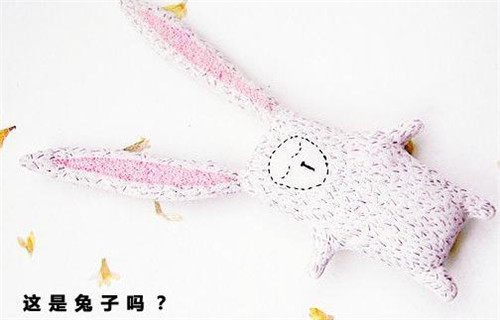 ���DIY�������Ȳ�ż��2��