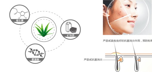 �{Ʒ�Ƽ�������Ȼ���B������