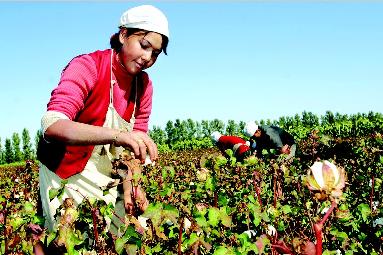 �½��������M(j��n)���ތ�(sh��)�б��������N(xi��o)��