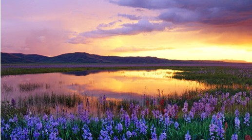 �W�ɼҼ����c����s����������