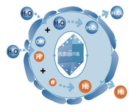 �{Ʒ�Ƽ���Ů�ԼҼ������o����