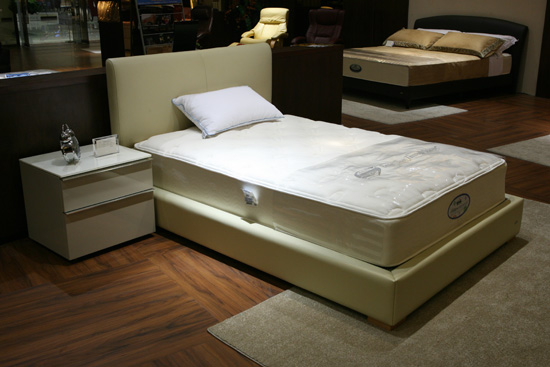 ֪l(shu)l(f)ϯ(mng)˼