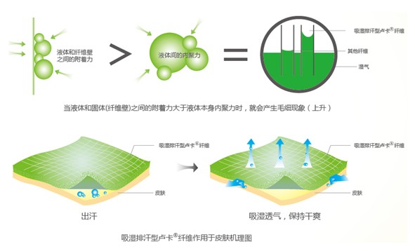 �{Ʒ����R���w�S����ˬ˯�߲��ǉ�(m��ng)��