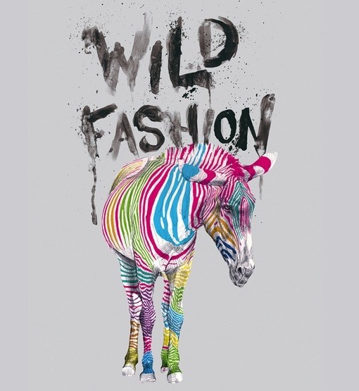 2014Ӱ푇��H�r(sh��)�е�ʮ��څ�ݷ���