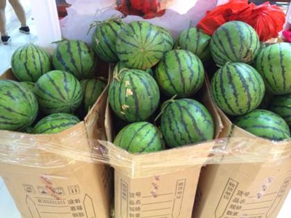 �W�ɼҼ�ƽ�ȵ�������}���M(j��n)������