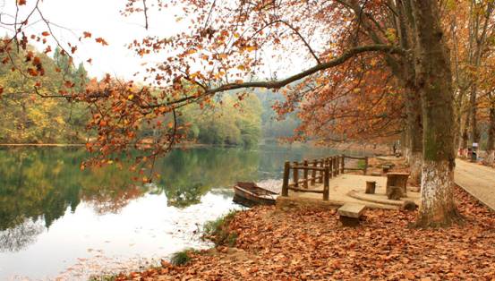 ɼɼ�Ҽ����@��(g��)�������c�ゃ��һ��