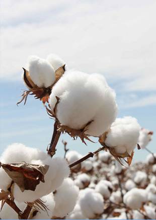 �W�ɼҼ������������ۼ���һ�ӵğ��