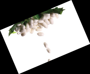 Qzqr(ji)](mi)ך