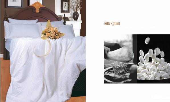 ·߅�Q�z��������Ҫ�� �Q�z���Fُ��(l��i)��