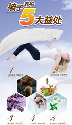 ���R���Ҽ���һ�l�^����q������Ο���