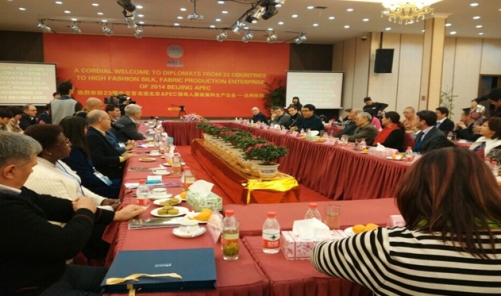 APEC(hu )20⽻RL(fng)_zI