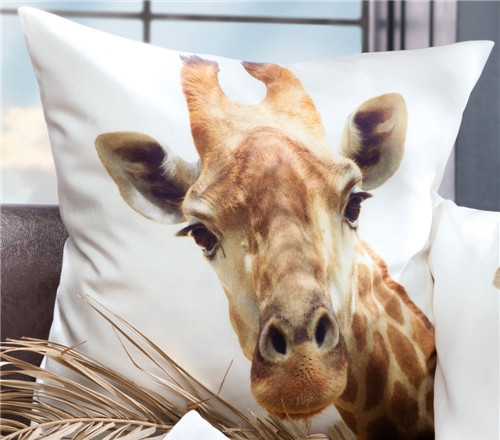 r(sh)мҼƷʥQԪؿ|C