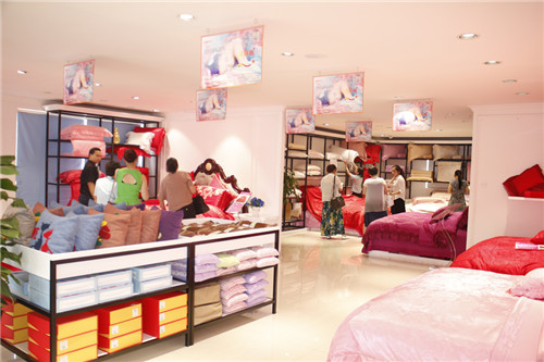 zDҼ2016ﶬƷƏVI(yng)ʢ_(ki)Ļ