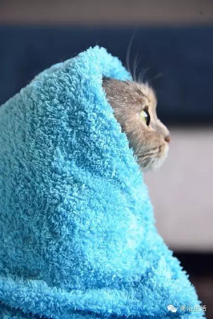 ԡëԌëҲv