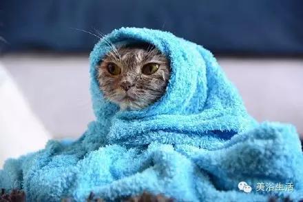 ԡëԌëҲv