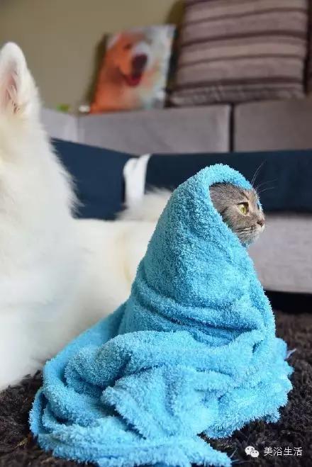 ԡëԌëҲv