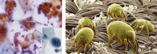 _mҼ(i)(i)360㝍˯