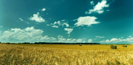 _mҼɭ˯ߡCСɭ