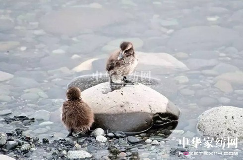 27f(wn)I(mi)²Ҽ""""