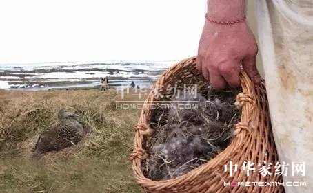 27f(wn)I(mi)²Ҽ""""