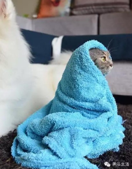 ԡëԌëҲv