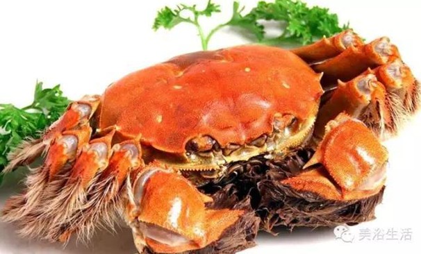 ԡÂĴlззSʳзȯзë